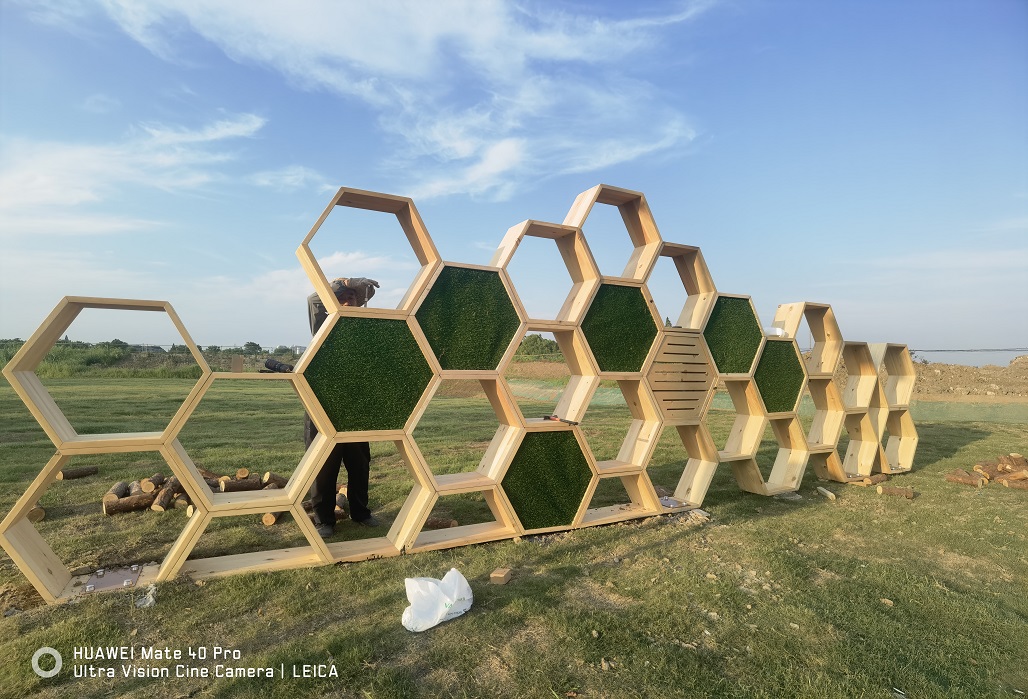 Jiangsu Changzhou Xingtang New Village Project